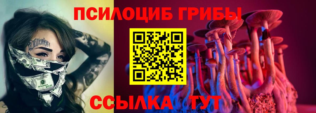 Серов  Псилоцибиновые грибы Psilocybe  Вход с VPN 
